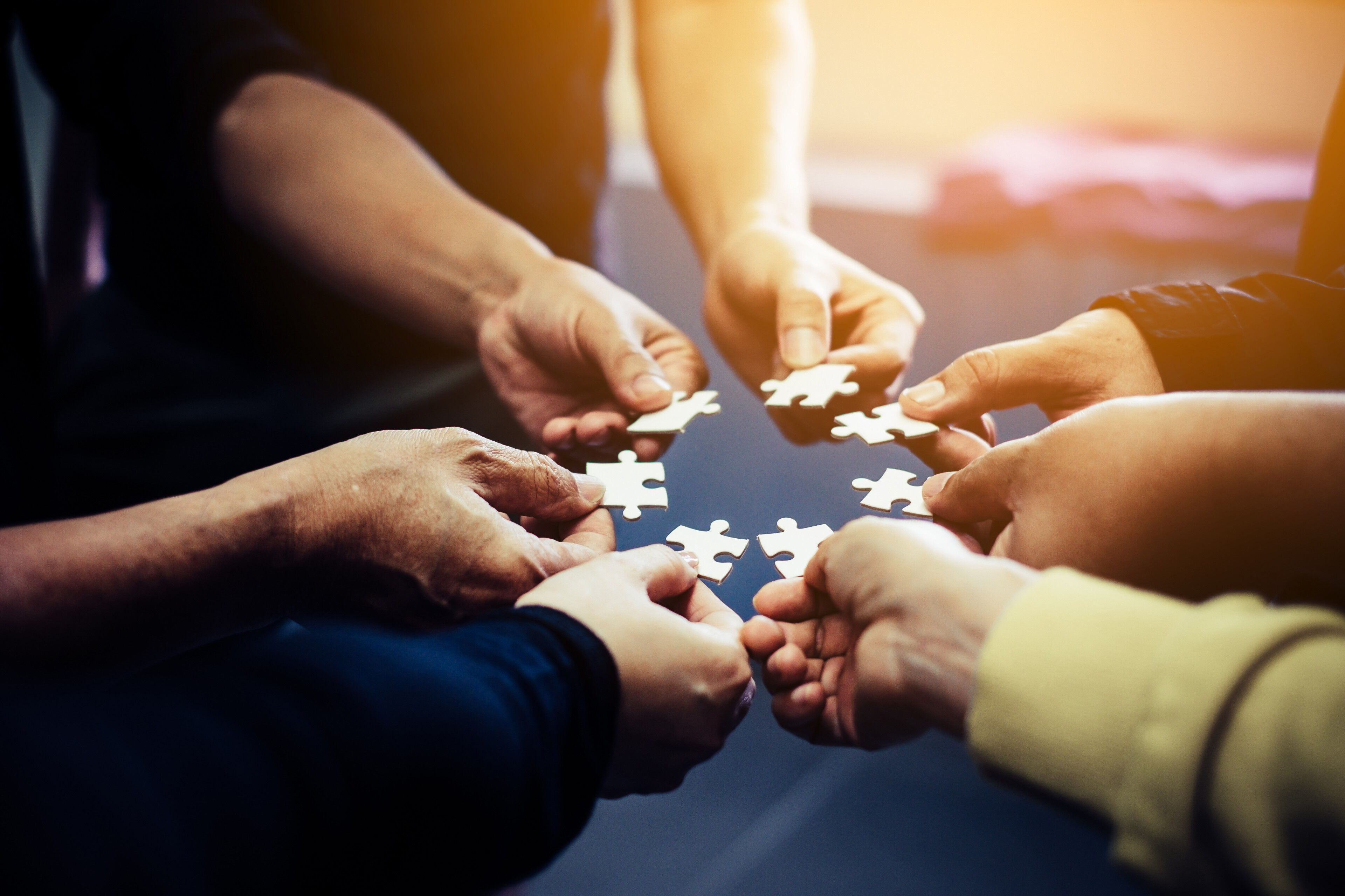 Sieben Hände, die gemeinsam einen Kreis bilden und jeweils ein Puzzleteil halten.
